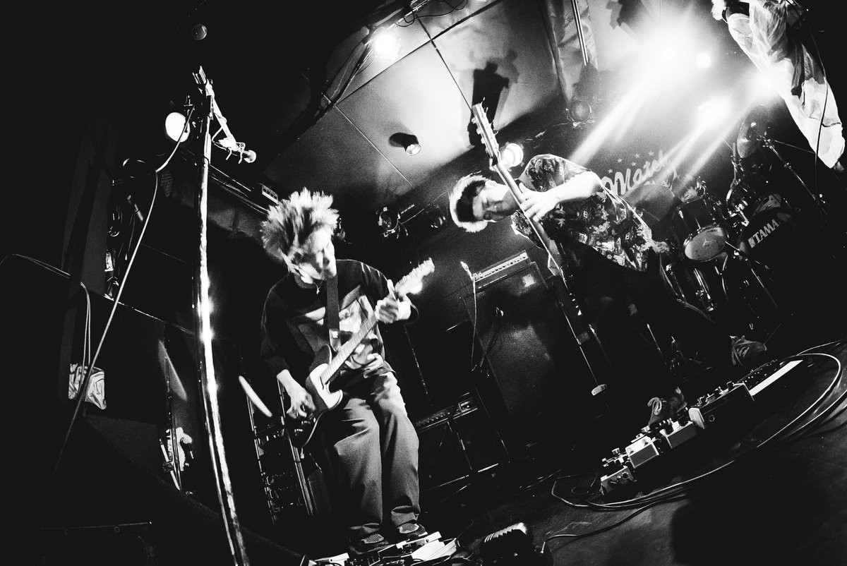 新井あらけん tweet media