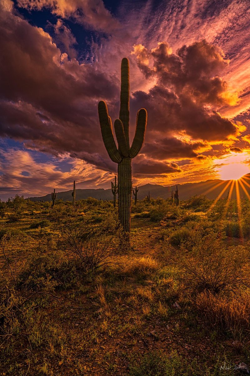 UnityOfMadness tweet media