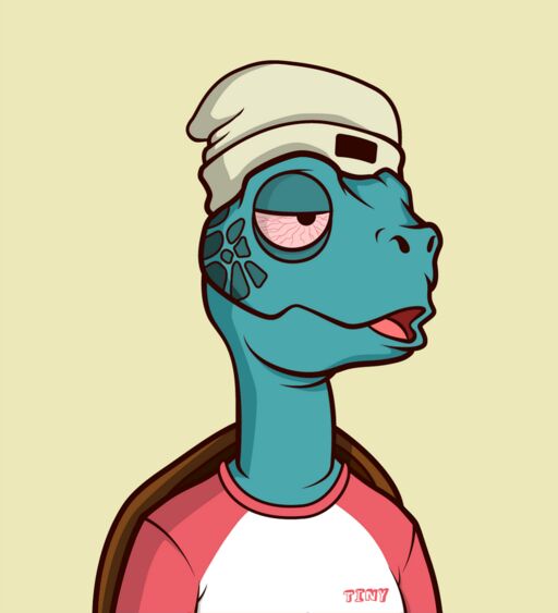 realtinywhale's tweet image. A big shout out to Matthew @MLBinWA for grabbing these 3 from the turtle shop today. You're simply amazing and your gestures are truly appreciated.
#tinyturtle