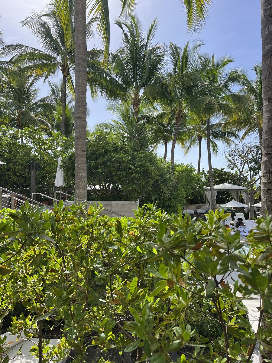 Abundance is everywhere. All we have to do is open our eyes!