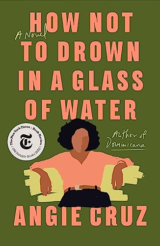 How Not to Drown in a Glass of Water, by Angie Cruz. An electrifying novel about a woman who has lost everything but the chance to finally tell her story. #DominicanLit #CaribbeanLit #Dominicana