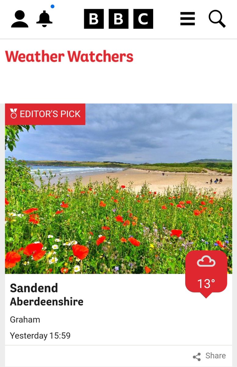 frasergj's tweet photo. A couple of my pics from #Sandend on the Moray Coast featured by BBC Scotland Weather on Thursday (20/7) https://t.co/ic5zWrK5a3