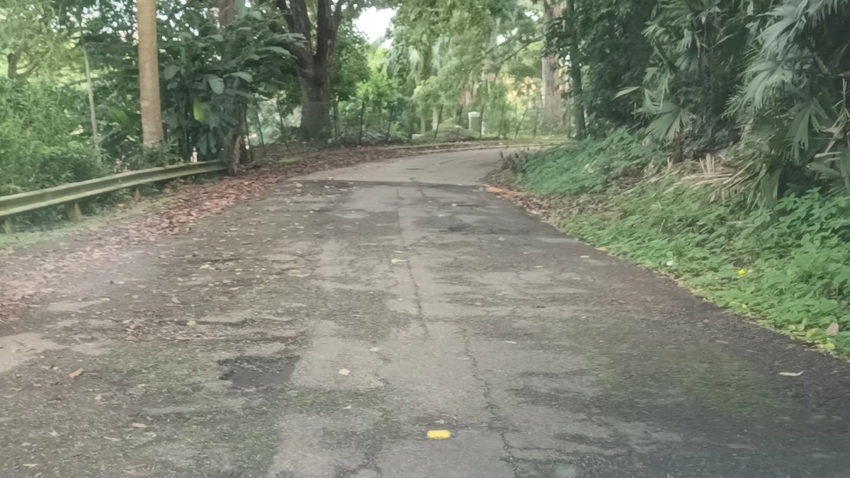 Buena iniciativa de la @JCAncon en poner resaltos, pero además va a tener que reparar las cales internas porque el INEPTO e INÚTIL de <a href="/RafaSabonge/">Rafa Sabonge</a> no lo va a hacer.

Definitivamente el peor de los ministros de esta administración y de la historia en el #MOP

<a href="/NitoCortizo/">Nito Cortizo</a>