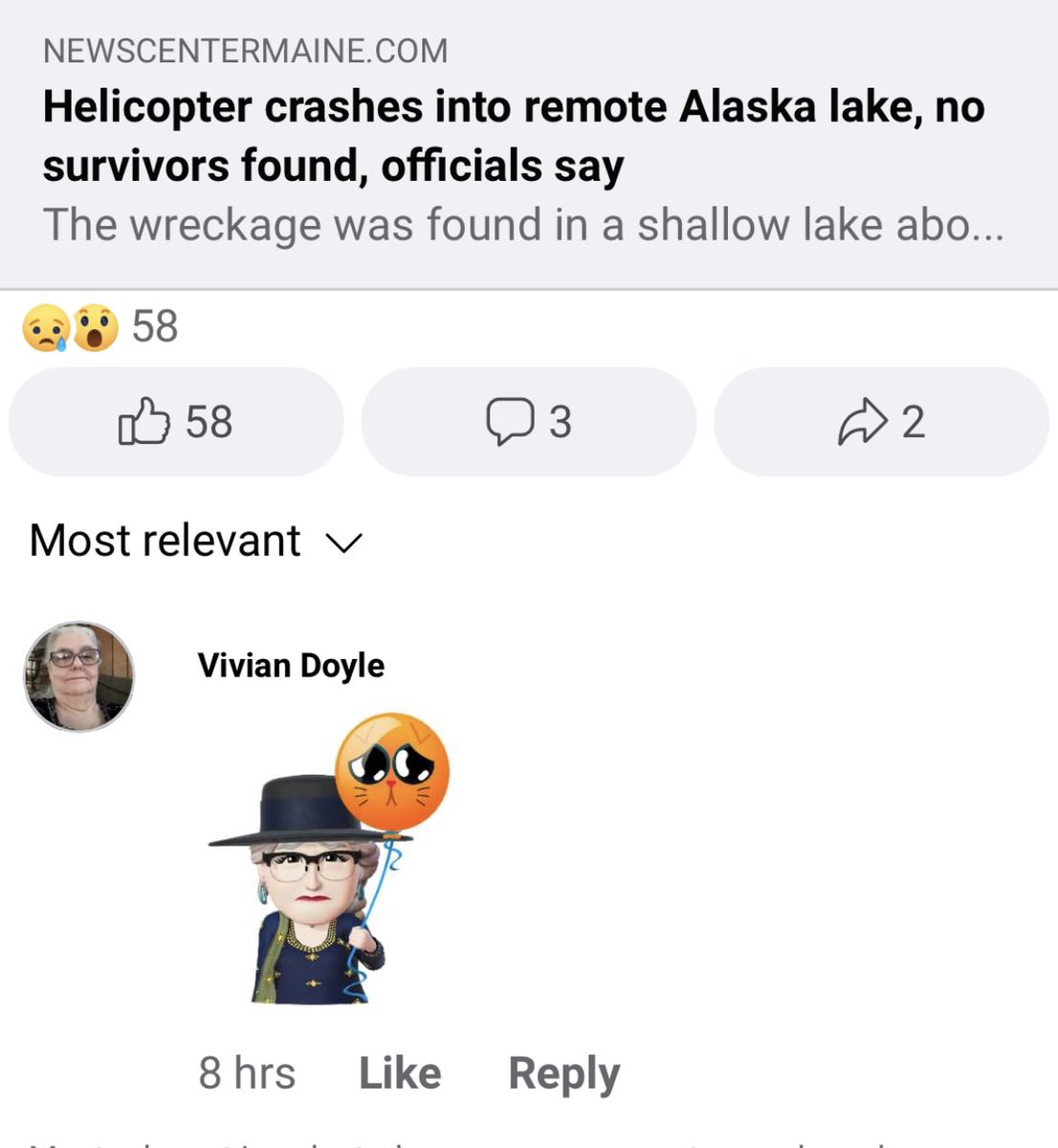 Dying at Vivian’s response to this news article about a helicopter crash with no survivors https://t.co/BHEsm4N71X