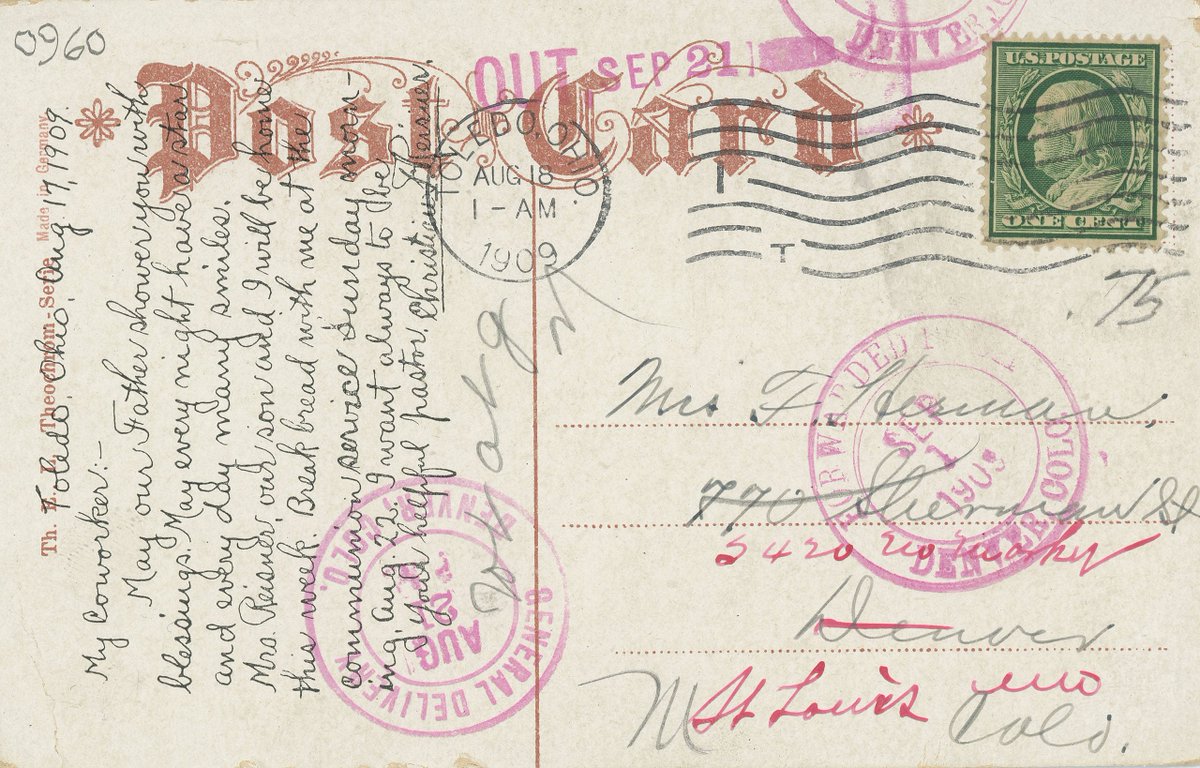 PALM REPORT ☼ tweet media