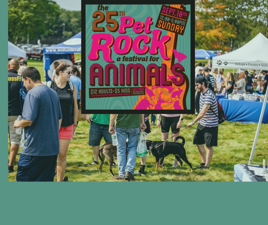 #CommunityCatConnection #ForgottenFelinesofMaine, @rescue_happy and @lasthopek9 are among the many signed up to share their mission at #PetRockFest2023. This is THE premier animal welfare festival in #NewEngland. Email petrockfest@gmail.com  to sign up.