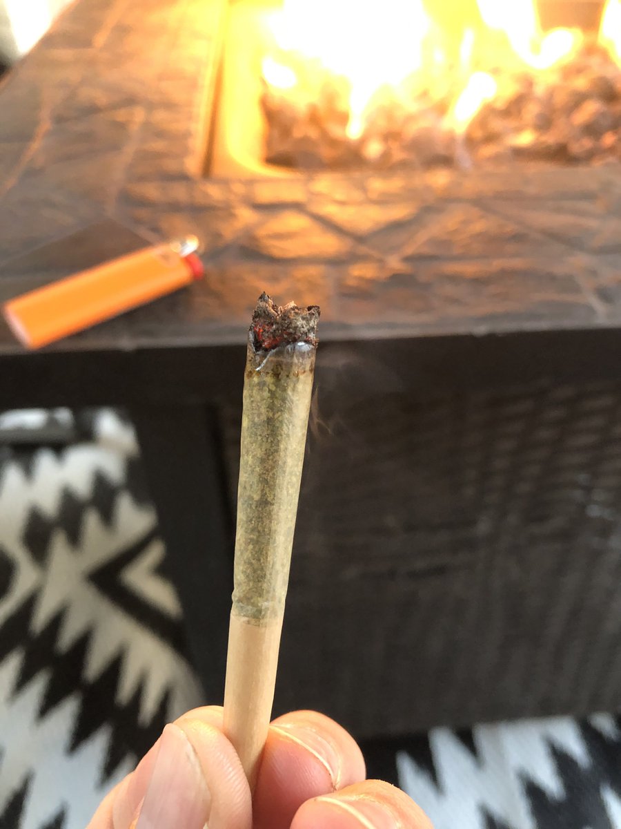 StonerDad 🇨🇦 tweet media