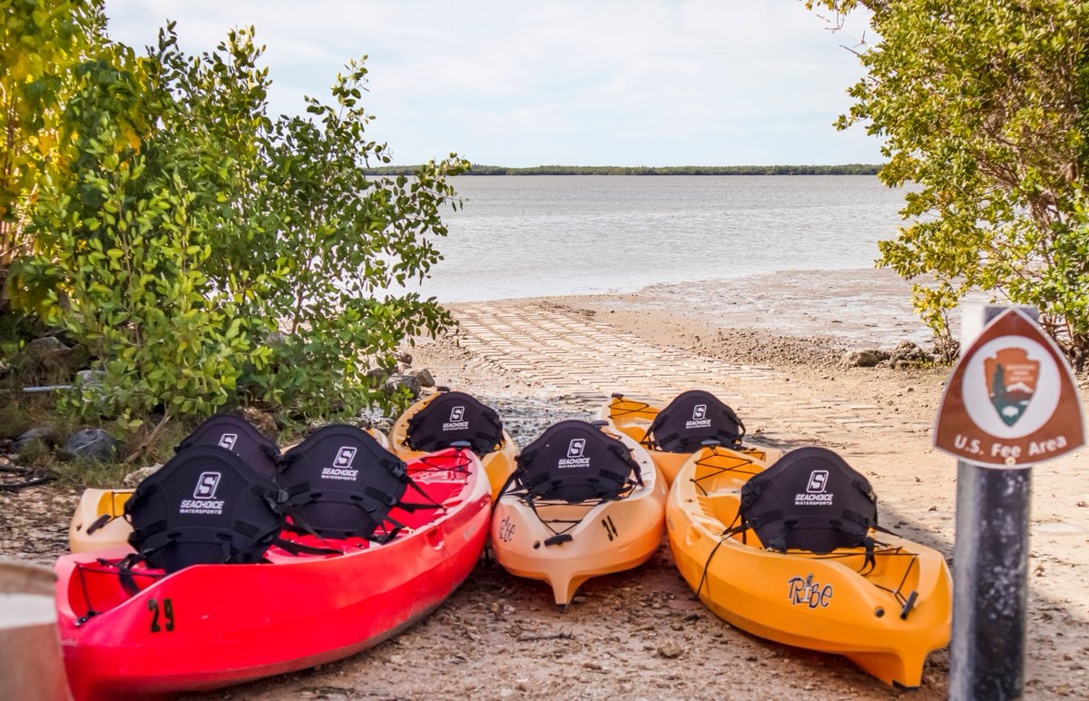 Come take out a kayak and look for the wildlife here in the Everglades!!!🛶
