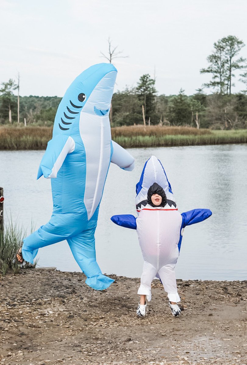 RunitMomma's tweet photo. Swimming into 7 years of baby @SharkWeek ❤️ @Discovery we’re qualified “Shark Experts” by now. #SharkWeek #sharkweek2023 https://t.co/u2y9X5QcIJ