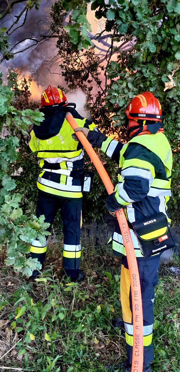 Pompiers_13's tweet photo. 🔴 [#Opérations]

Le dispositif préventif #FDF des #Pompiers13 a permis d’attaquer rapidement et massivement un feu naissant à Saint-Rémy-de-Provence

✅ 70 🧑‍🚒
✅ une quinzaine de 🚒
✅ 5 largages 

Les habitants avaient respecté les #OLD #autoprotection #débroussailler 👏👏👏 https://t.co/lXlNuJzxgt