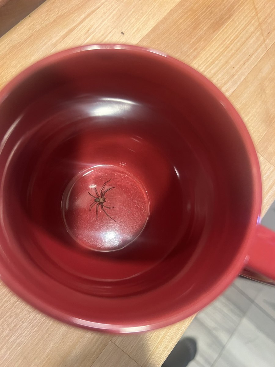 Sean Parker is FOR Transit tweet media