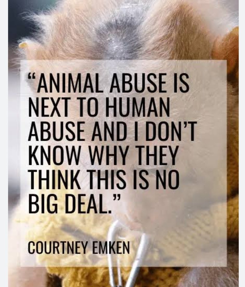 Ahimsa Rising Ⓥ (@ahimsarising) on Twitter photo “He who is cruel to animals becomes hard also in his dealings with men. We can judge the heart of a man by his treatment of animals.”
— Emmanuel Kant #justiceforangel #nomore50 #amendPCA #amendPCAact #nomore50 #nomorefifty <a href="/narendramodi/">Narendra Modi</a> <a href="/Manekagandhibjp/">Maneka Sanjay Gandhi</a> <a href="/AmitShah/">Amit Shah</a> <a href="/Tejasvi_Surya/">Tejasvi Surya</a> “He who is cruel to animals becomes hard also in his dealings with men. We can judge the heart of a man by his treatment of animals.”
— Emmanuel Kant #justiceforangel #nomore50 #amendPCA #amendPCAact #nomore50 #nomorefifty <a href="/narendramodi/">Narendra Modi</a> <a href="/Manekagandhibjp/">Maneka Sanjay Gandhi</a> <a href="/AmitShah/">Amit Shah</a> <a href="/Tejasvi_Surya/">Tejasvi Surya</a>