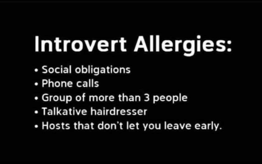 Introverts Are Us tweet media