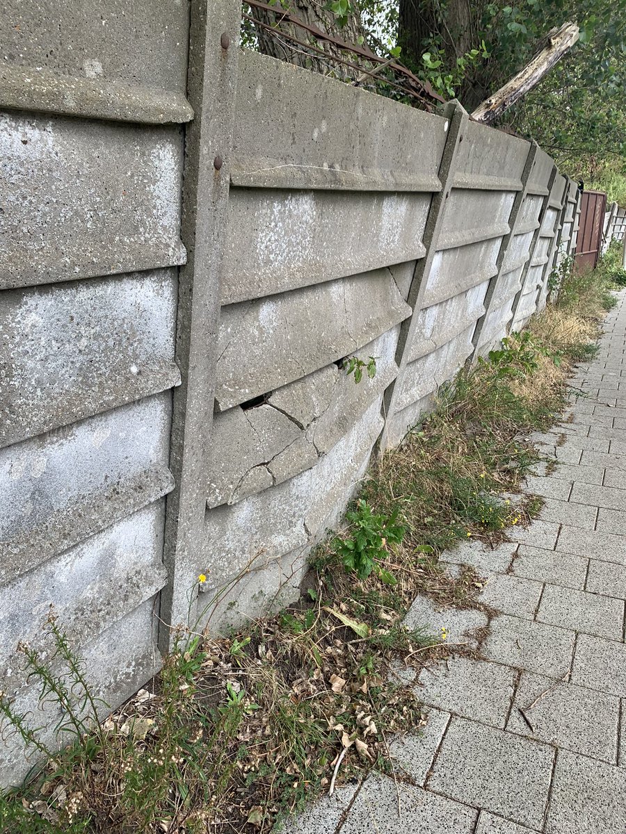 Arianne Mantel tweet media