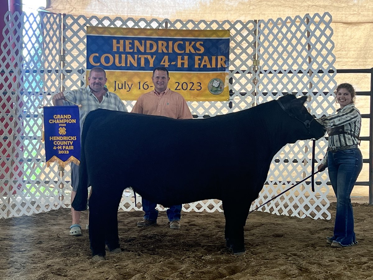Congrats to Tri-West’s Madison Love for her performance @HendricksCounty 4-H Fair…PLACING 1ST 🥇 in Grand Champion Steer, Grand Champion Prospect Steer & Reserve Grand Champion Heifer. All home-raised!
@nwhsc1 @TW_Principal @kellygrillo @jamithompson319 @AbbieMorgan85 @INDSRSA