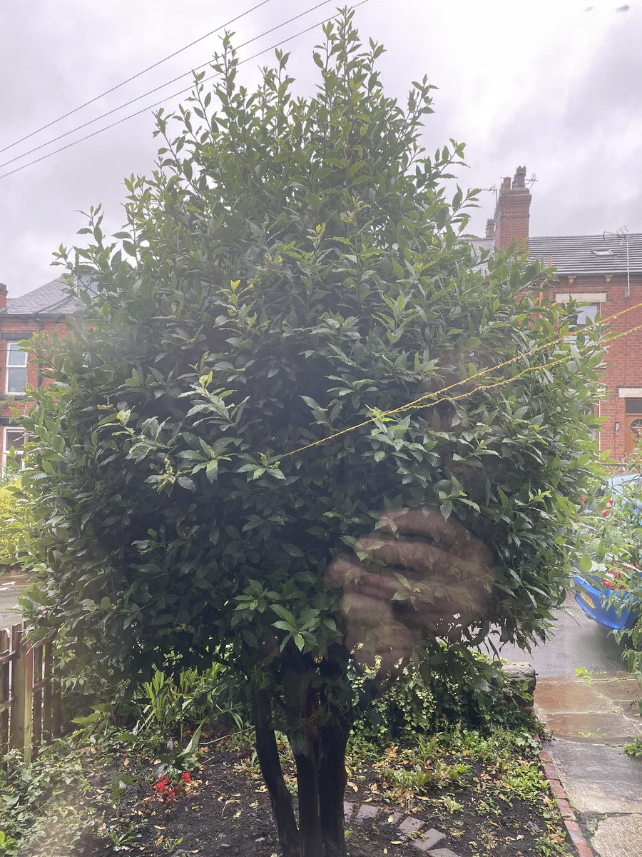 Andrew Errington tweet media