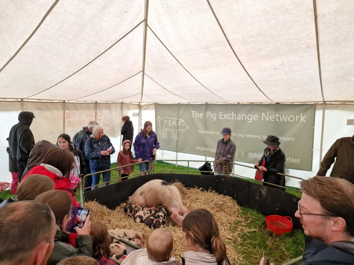 The Pig Exchange Network got officially underway today, with our 1st public sponsored event. PEN sponsored the amazing Pig Exhibition Tent at <a href="/middevonshow/">Mid Devon Show 🐓🌾🚜☀️</a> in Tiverton. A really positive experience, and thousands of really engaged members of the public learning about pigs!