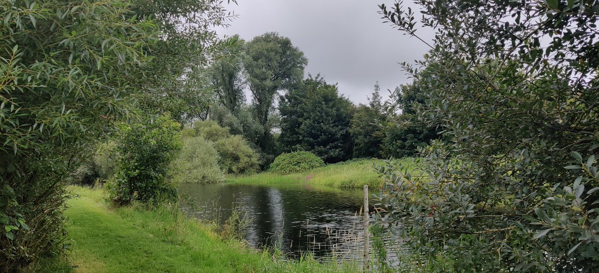 tomasocarthaigh's tweet photo. #Ballinasloe Harbour today.

When your not on the water, walk by it! Walkway goes on through a feild of horses and loops back in by a canal it seems but I didnt go that far. @ThePhotoHour @StormHourMedia @waterwaysirelan https://t.co/xp1xpw0xZr