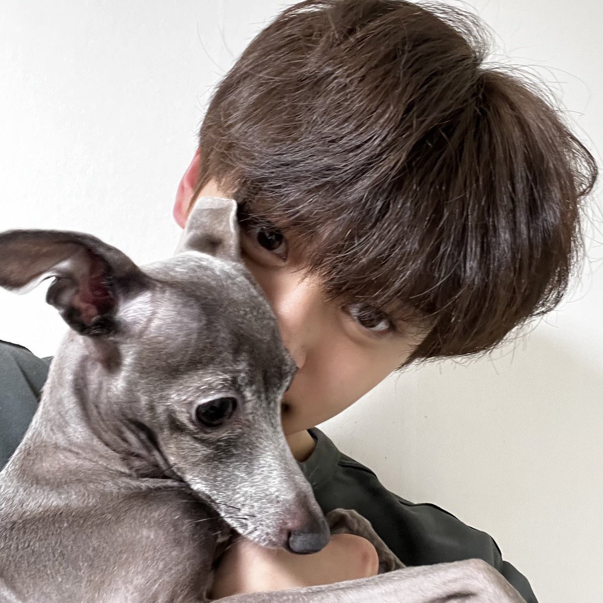 Q - if gyuvin were a puppy, what kind of puppy would you be? 

GV - “italian greyhound” 
HE WANTS TO BE EUMPPAPPA 😭