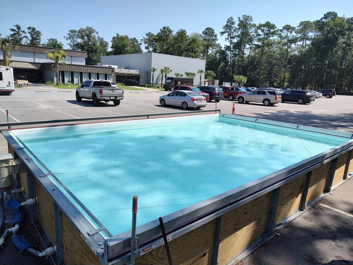 CMichaelMyers's tweet photo. And just like that, 2 weeks of Fun Fins 2023 is over in Colleton County.  Loaded up and ready to make the move to Dorchester County for 2 more weeks. #funfins https://t.co/zFfNC3GCaK
