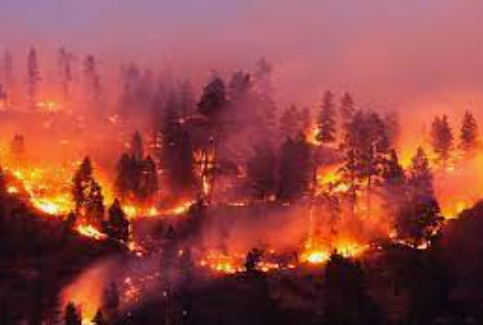 Canadian Wildfires Impact on Cardiovascular🫀and Respiratory🫁Health: a @SCC_CCS podcast w/ Matt Bennett. @SBWilton⁩, ⁦@emily_brigham podcasts.apple.com/ca/podcast/car… via @SCC_CCS_CEO #ClimateChange