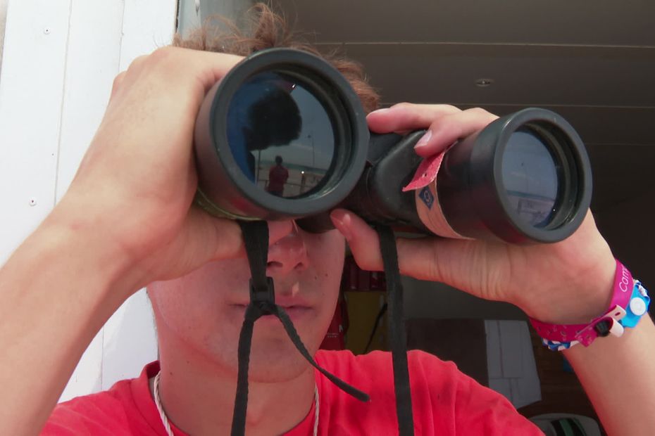 F3Occitanie's tweet image. Alerte au requin au large du Barcarès, les baigneurs évacués dlvr.it/SsZNrt