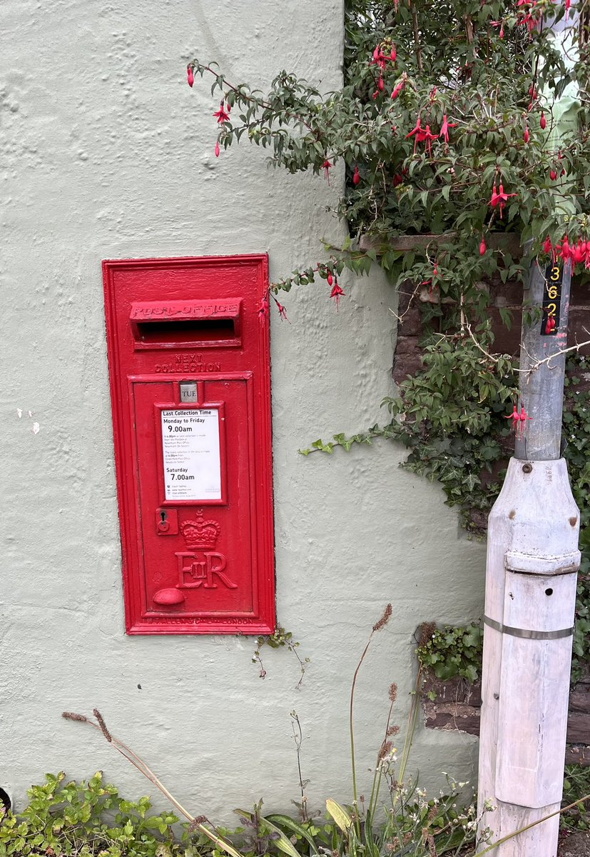 Flowers matching the postbox #PostboxSaturday #newnhamonsevern #Gloucestershire