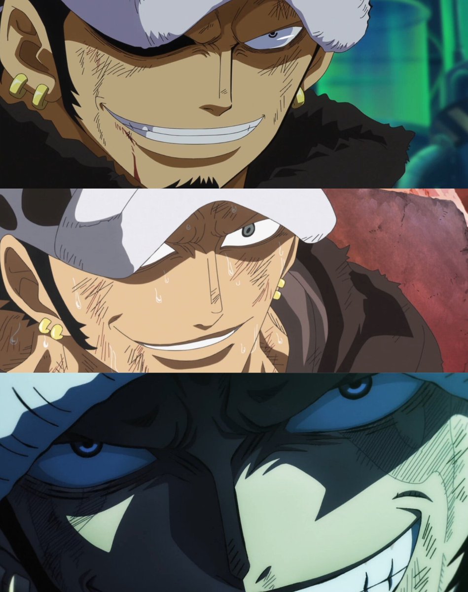 Daily Traffy 🐯 (@toralawnigiri) on Twitter photo 