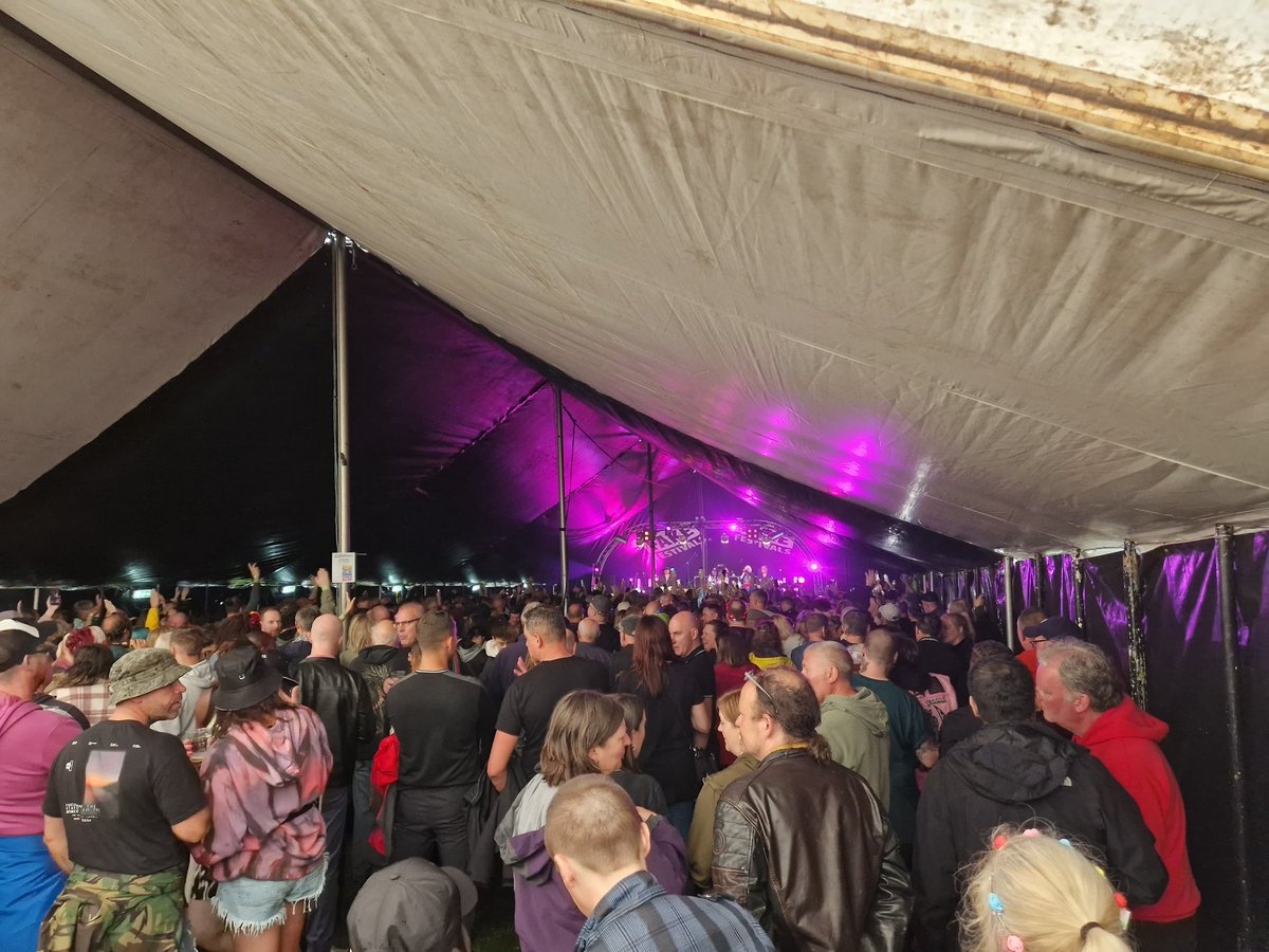 Ann Stanley tweet media