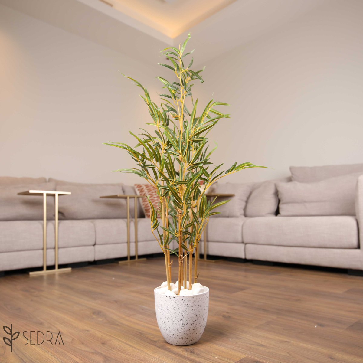 SEDRA_Store's tweet photo. متجر سيدرا المتخصص في بيع الشجر الصناعي 🌱؛

لمزيد من التفاصيل يرجى زيارة رابط المتجر ؛
https://t.co/d0vNvXCngY

التوصيل لجميع مناطق المملكة ✅
#شجر_صناعي 
#جدة_الأن 
#ديكور_داخلي https://t.co/BocQuRpkej