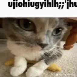 starrycoffeecup.⠀

Hii
I can finally be active here,,