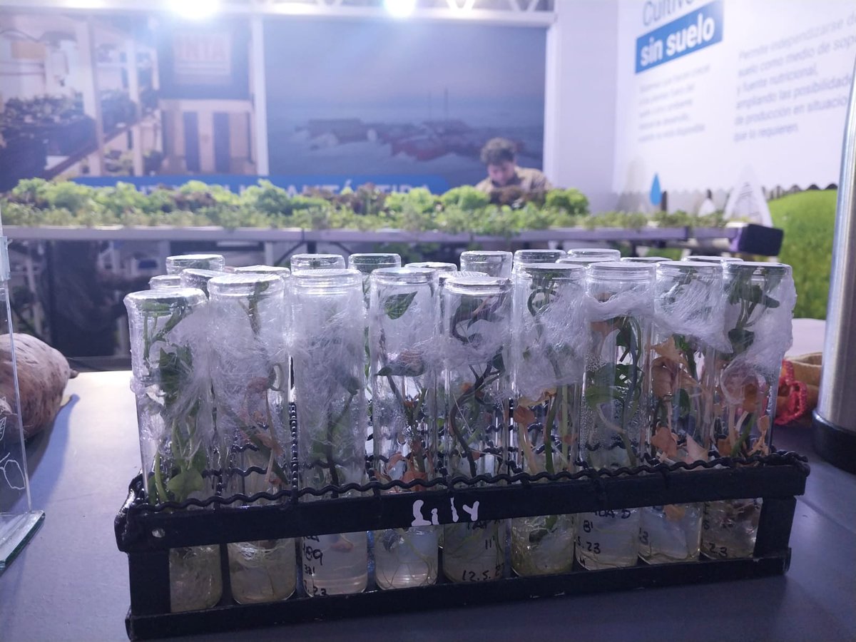 Talleres de #biotecnologia en <a href="/TecnopolisArg/">Tecnópolis Argentina</a> 

Te esperamos hoy para aprender más sobre genómica y microorganismos.

🌱13.00 Edición genética de cultivos
🌱14.00 Experimentos con rizobios

¿Venís?