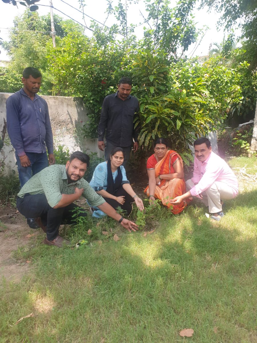 पेड़ लगाओ पेड़ बचाओ अभियान के अंतर्गत आज अपने डिप्टी डायरेक्टर कार्यालय में स्टाफ के साथ पौधारोपण किया गया