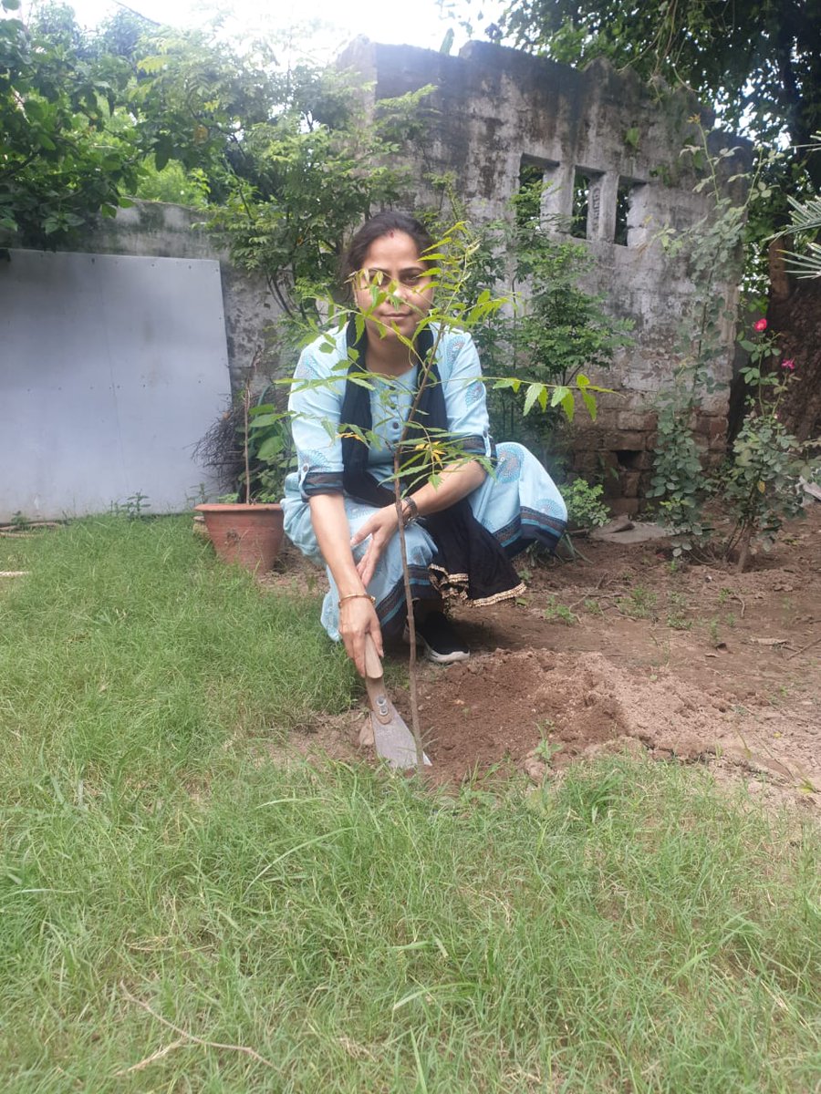 WBareilly's tweet photo. पेड़ लगाओ पेड़ बचाओ अभियान के अंतर्गत आज अपने डिप्टी डायरेक्टर कार्यालय में स्टाफ के साथ पौधारोपण किया गया https://t.co/zGge1mQM6O