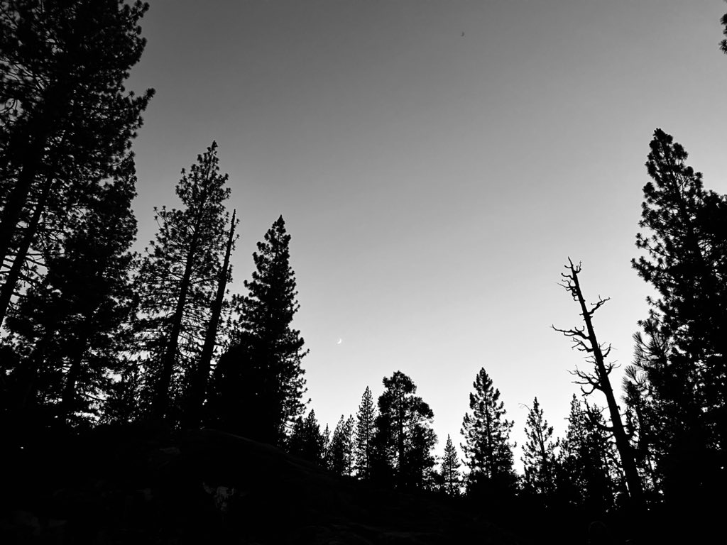 sccct498's tweet photo. Skits at campfire https://t.co/emvt2RVfee