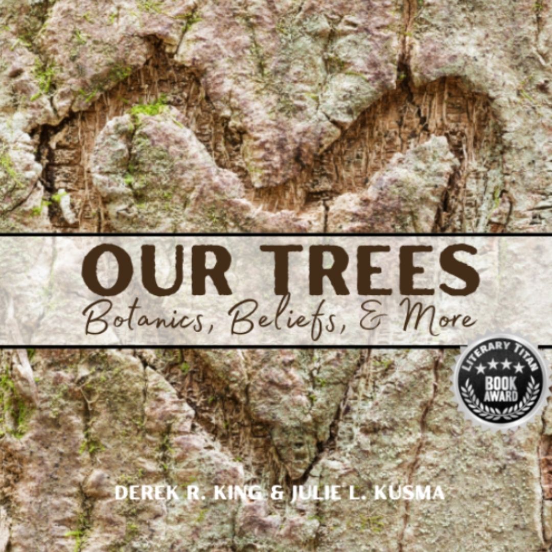JulieKusma's tweet photo. Explore the Ogham trees' meanings— their medicinal properties &amp; symbolism. Plus, your children will love the board game, word search, and even a puzzle. A family-friendly book to entertain and inform everyone.

https://t.co/b19uxa75v1
with @DerekRKing2 
 #treees #children #family https://t.co/87QRBVkY8U