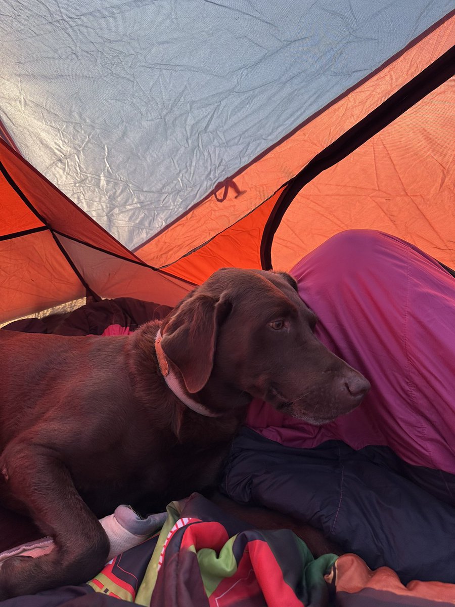 Took all “3” of the kids pasture camping last night. They slept so hard they were all snoring. Momma and I not so much ha… #kids #ranchlife #NDlegendary