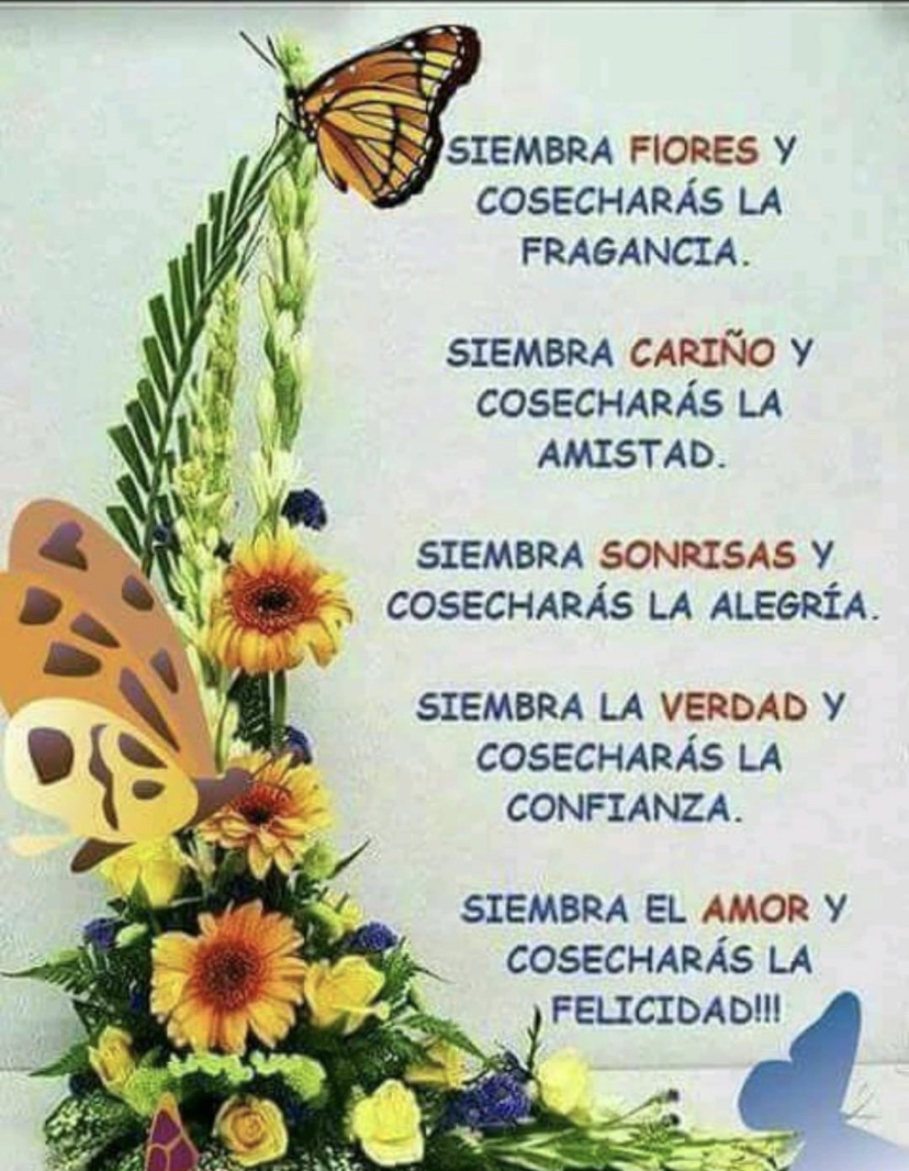 Paulo Coelho Español (@paulocoelhodice) on Twitter photo 