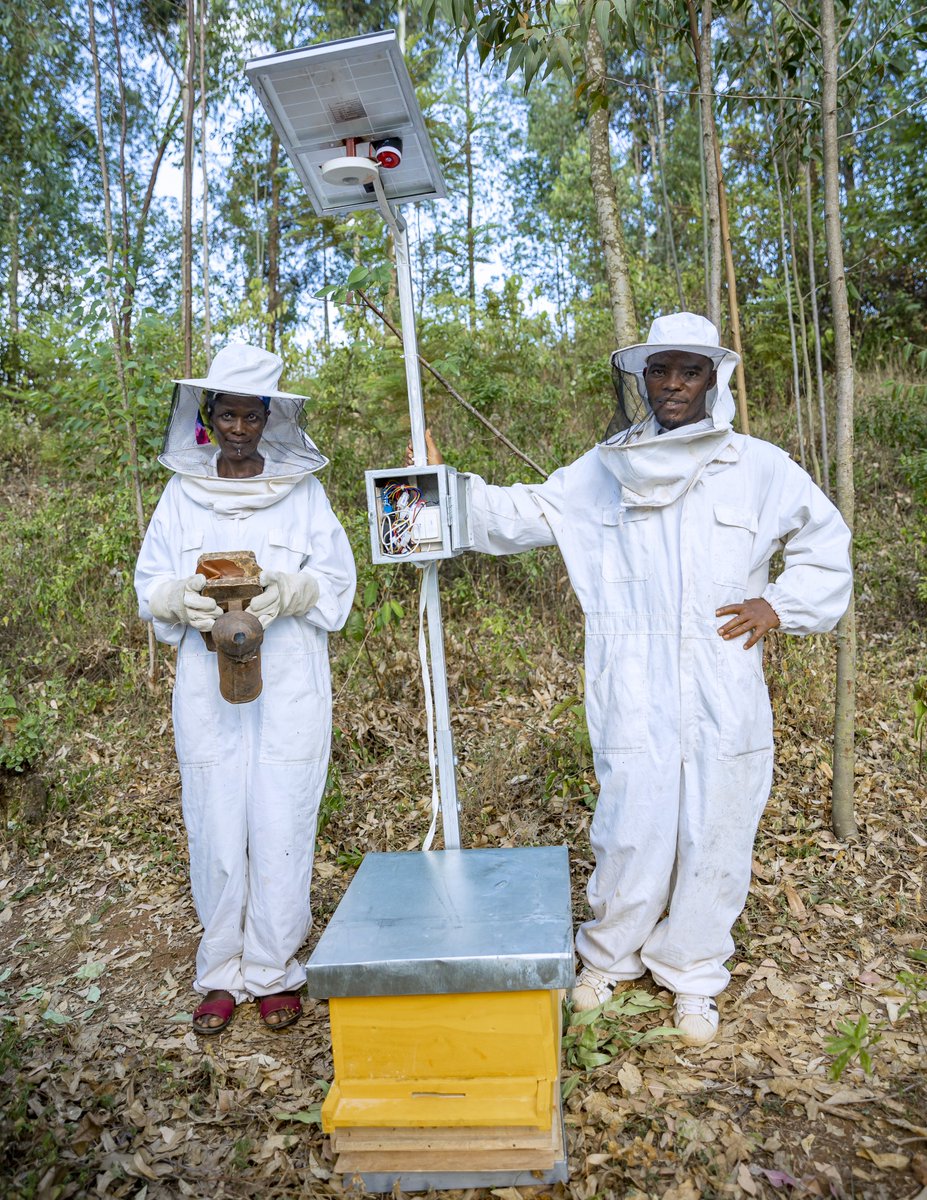 African Center of Excellence in Internet of Things tweet media