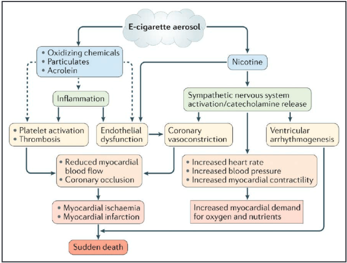 cardioteca's tweet photo. 🆕📌 Impacto cardiopulmonar de los cigarrillos electrónicos y los productos de vapeo: consenso AHA.

🔓 https://t.co/SKY6dUGVsP https://t.co/GY1GYls4aC