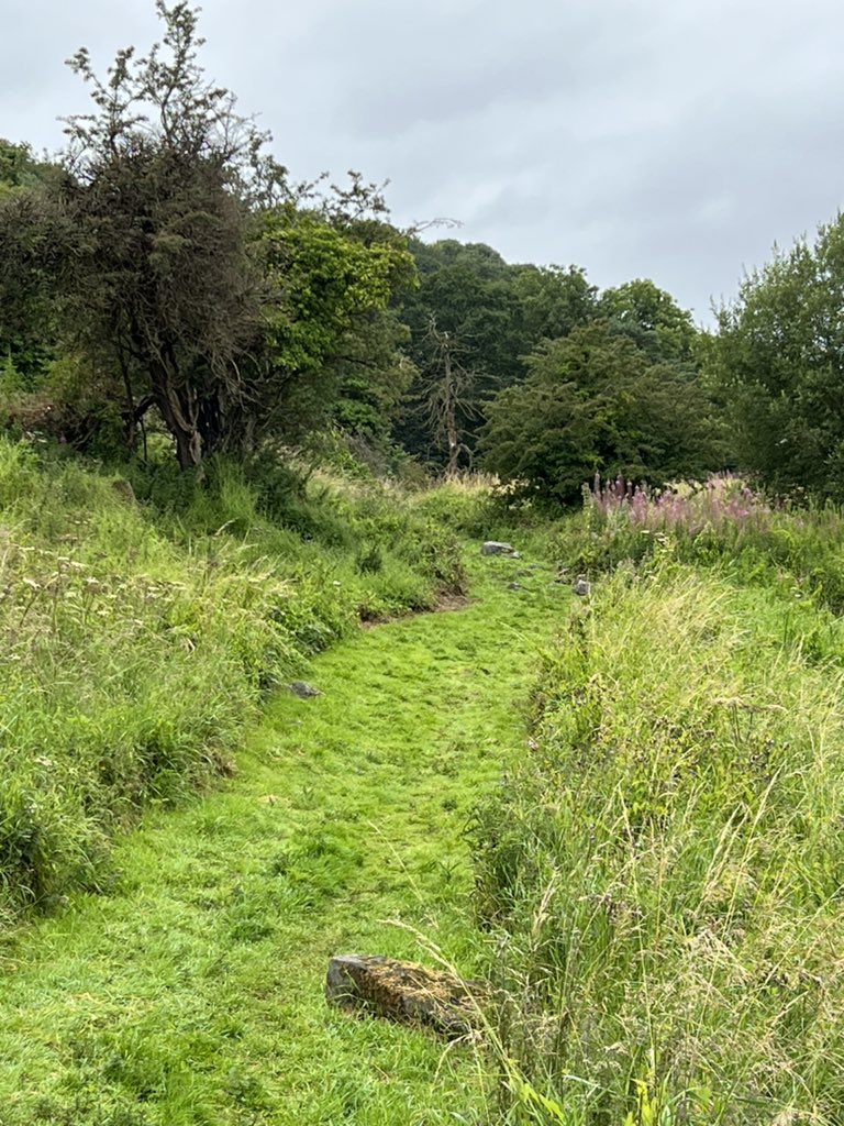 tcarter_edwards's tweet photo. First full day in Scotland… Dundonald Castle and some geneological research as well.  Found some ancestors dating back to early 1800’s! https://t.co/vKawDogoKe