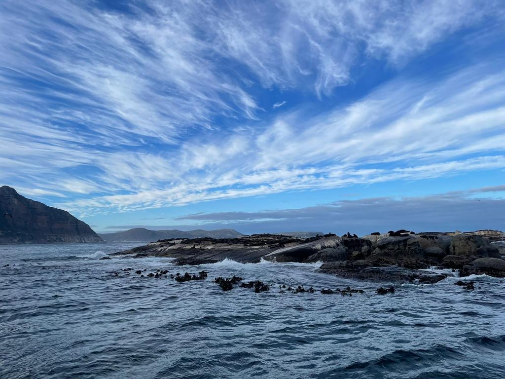 KSW_Sport's tweet photo. Day 14 🏐🏑🇿🇦🏐
Today was our final day to explore Cape Town. We visited @ChapmansPeakSA @CapePointSA Boulders Bay &amp; a boat trip to seal island. 
We are now at the airport waiting to board ✈️ #KSWSA #KingsSport https://t.co/LwWdaEkPGG