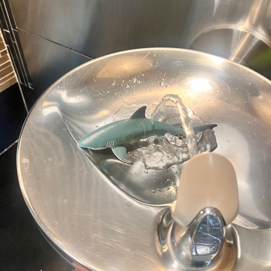 Roanoke-Blacksburg Airport tweet media