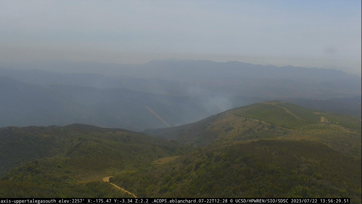 DanielFireTruck's tweet photo. #TalegaFire The Fire is 5 acres, Slow ROS, Potential for 25 acres, burning downslope. https://t.co/z7shUygHFm