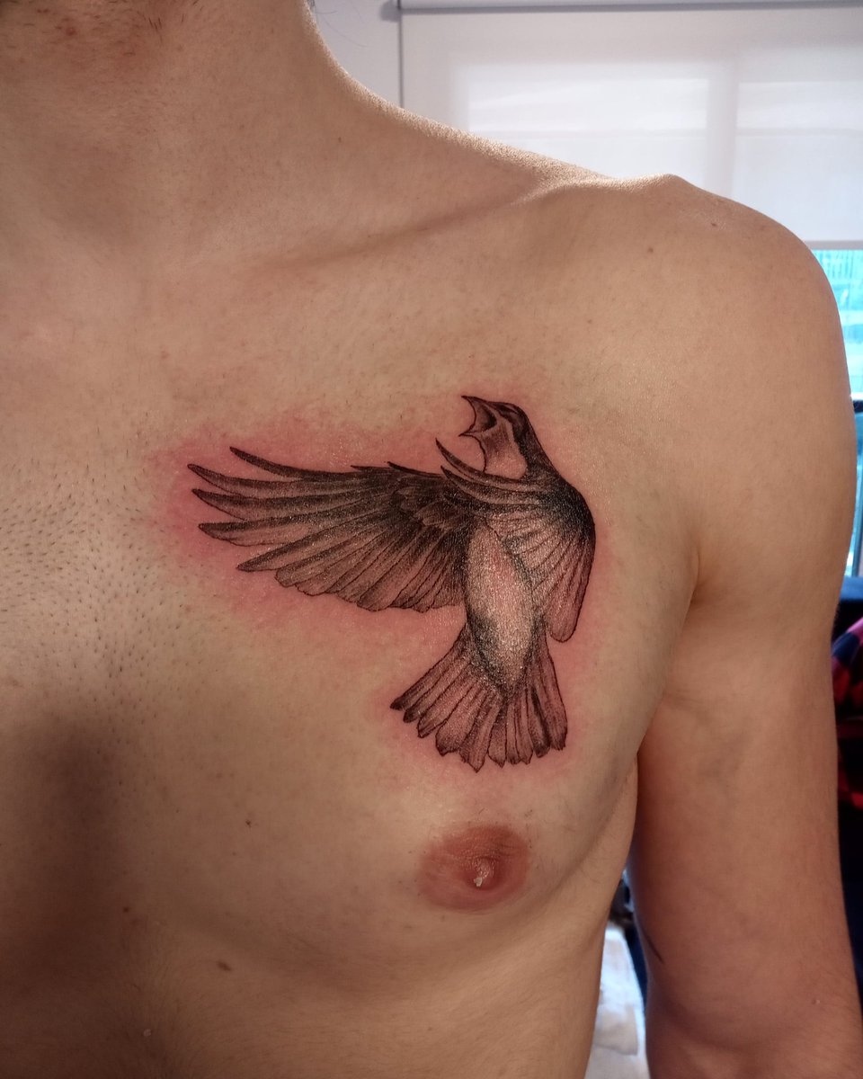 Bird 🐦‍⬛

#MysticalRoseTattoo