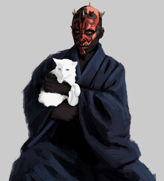 ||<a href="/CrimsonZabrak/">DARTH MAUL</a> || 

Dis you!