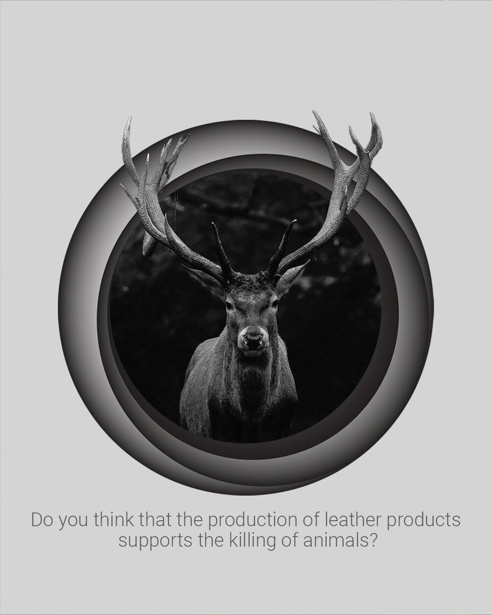 ZENunison's tweet photo. we are not going to advertise animal killing. we just aim to produce leather accessories from the discarded skin of ostriches in nature.
#zenunison #fashion #leather
#animals #fashiondesign #zen
#animallover https://t.co/SccKeJEwYd