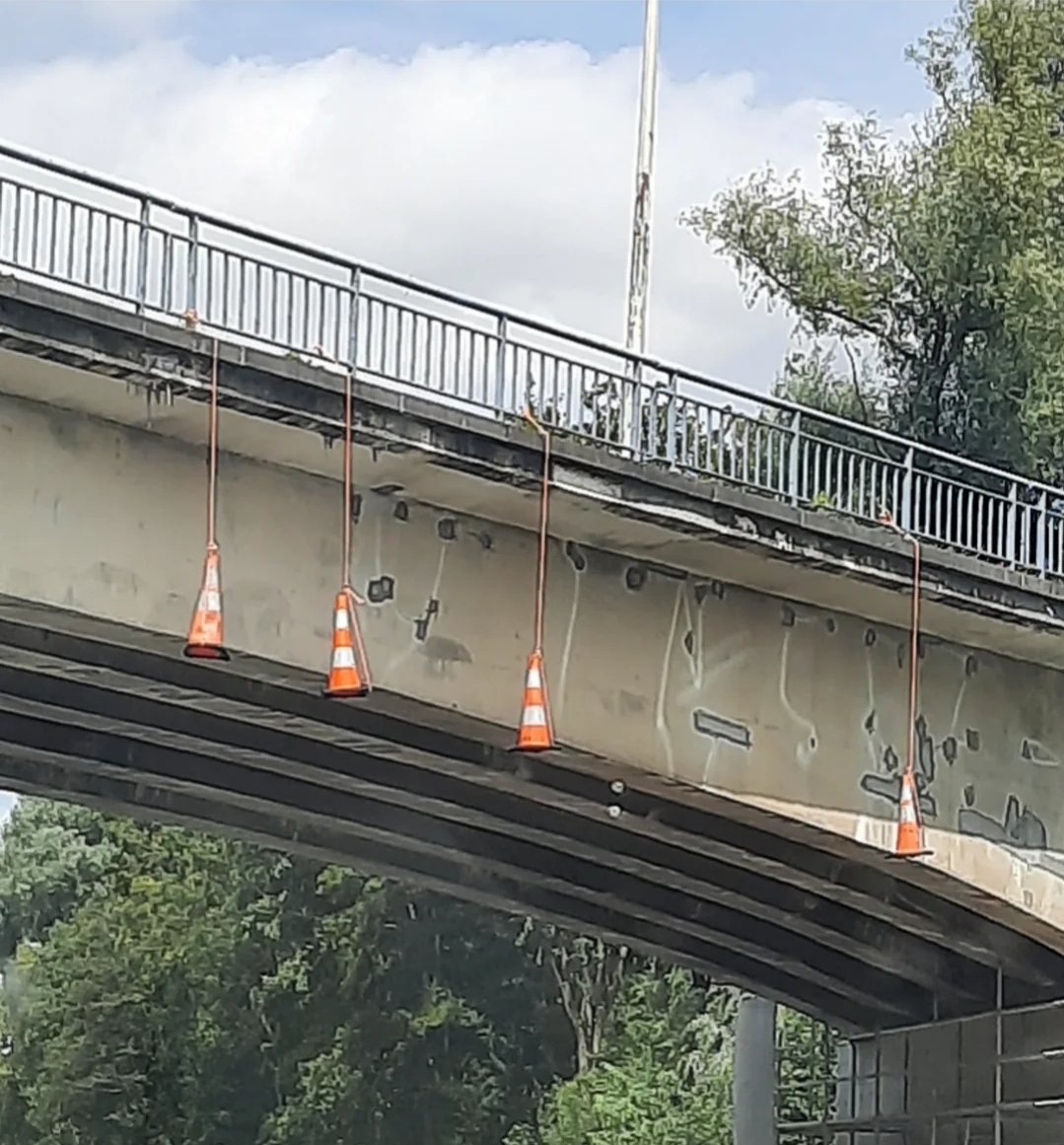 Cinema Smorgasbord tweet media