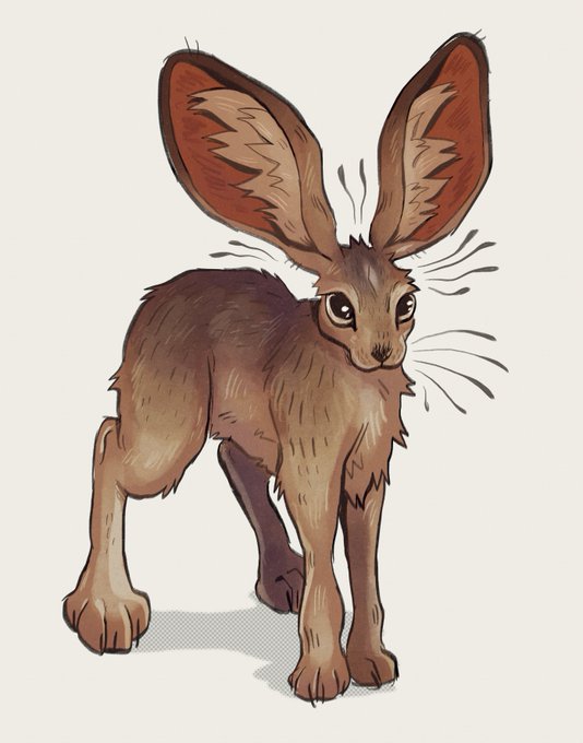 「full body rabbit」 illustration images(Popular)