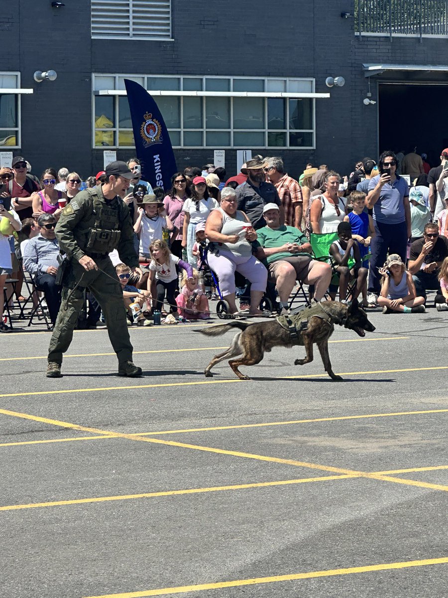 KingstonPolice's tweet photo. Today’s Kingston Police Canine demonstration at the Fun Fair was extremely well attended and Dak and Bask did not disappoint the crowd while putting on a terrific show featuring their skills and agility. #ygk #dak #bask https://t.co/c4eTtdZGqP